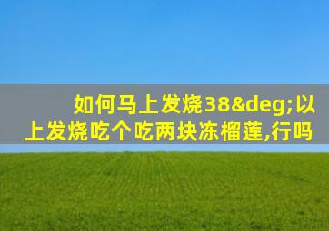 如何马上发烧38°以上发烧吃个吃两块冻榴莲,行吗