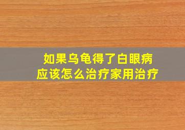 如果乌龟得了白眼病应该怎么治疗家用治疗