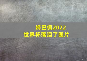 姆巴佩2022世界杯落泪了图片