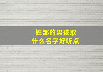 姓邹的男孩取什么名字好听点