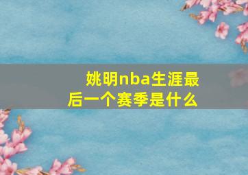 姚明nba生涯最后一个赛季是什么