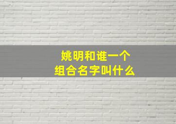 姚明和谁一个组合名字叫什么