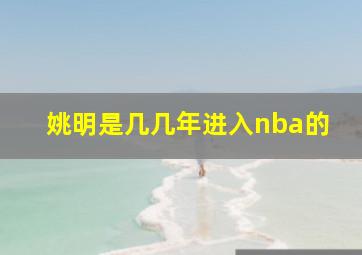 姚明是几几年进入nba的