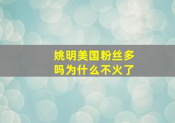 姚明美国粉丝多吗为什么不火了