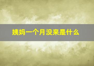 姨妈一个月没来是什么