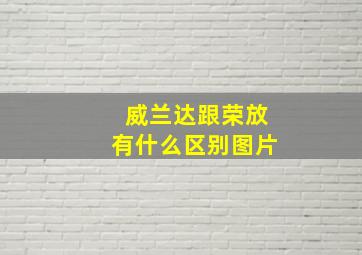 威兰达跟荣放有什么区别图片