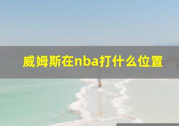 威姆斯在nba打什么位置