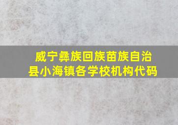 威宁彝族回族苗族自治县小海镇各学校机构代码