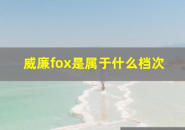 威廉fox是属于什么档次