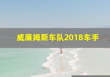 威廉姆斯车队2018车手