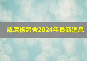 威廉杨鸽舍2024年最新消息