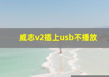 威志v2插上usb不播放