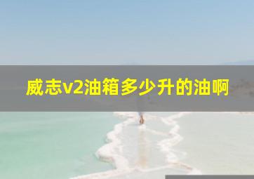 威志v2油箱多少升的油啊