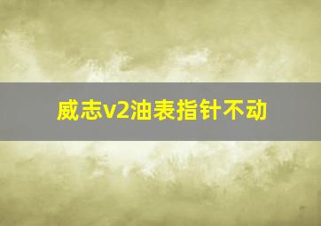 威志v2油表指针不动