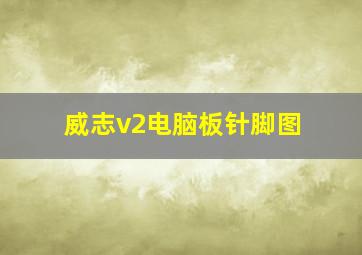 威志v2电脑板针脚图