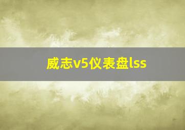 威志v5仪表盘lss