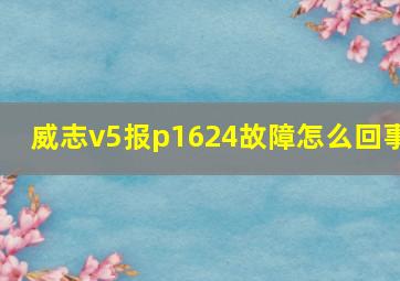 威志v5报p1624故障怎么回事