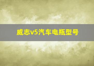 威志v5汽车电瓶型号