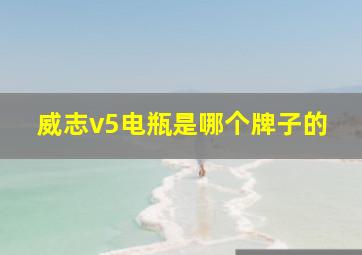 威志v5电瓶是哪个牌子的