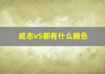 威志v5都有什么颜色