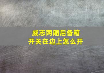 威志两厢后备箱开关在边上怎么开