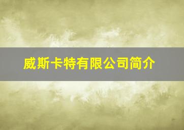 威斯卡特有限公司简介