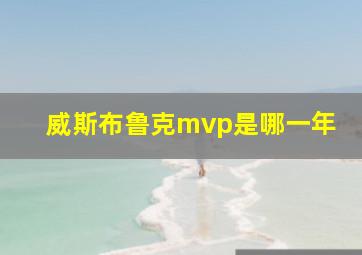 威斯布鲁克mvp是哪一年