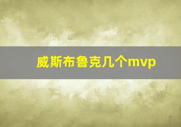 威斯布鲁克几个mvp