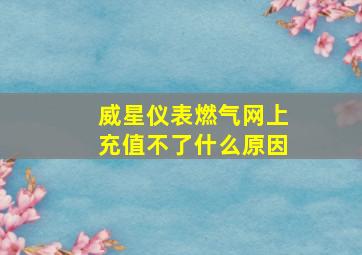 威星仪表燃气网上充值不了什么原因