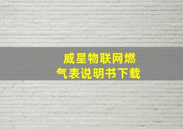 威星物联网燃气表说明书下载