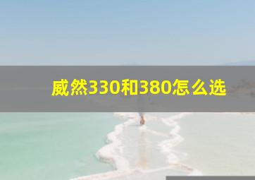 威然330和380怎么选