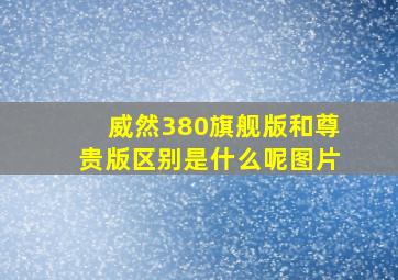 威然380旗舰版和尊贵版区别是什么呢图片