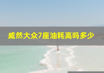 威然大众7座油耗高吗多少