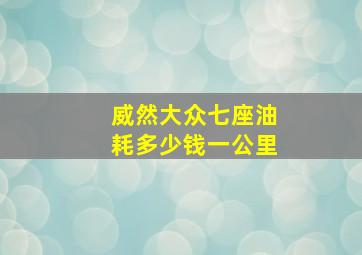 威然大众七座油耗多少钱一公里