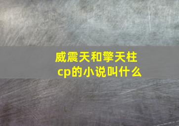 威震天和擎天柱cp的小说叫什么