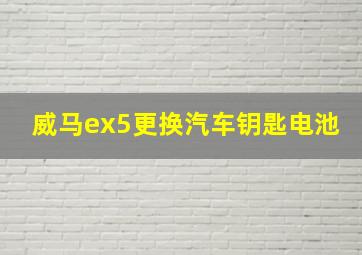 威马ex5更换汽车钥匙电池