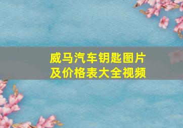 威马汽车钥匙图片及价格表大全视频