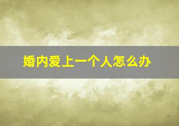 婚内爱上一个人怎么办