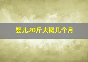 婴儿20斤大概几个月