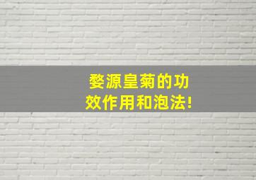 婺源皇菊的功效作用和泡法!