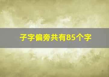 子字偏旁共有85个字