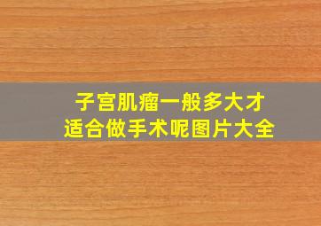 子宫肌瘤一般多大才适合做手术呢图片大全