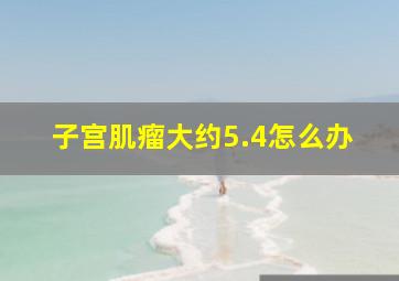 子宫肌瘤大约5.4怎么办