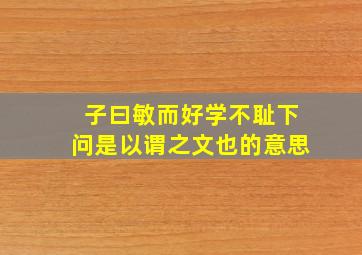 子曰敏而好学不耻下问是以谓之文也的意思