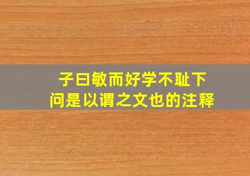 子曰敏而好学不耻下问是以谓之文也的注释