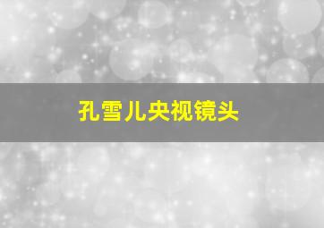 孔雪儿央视镜头