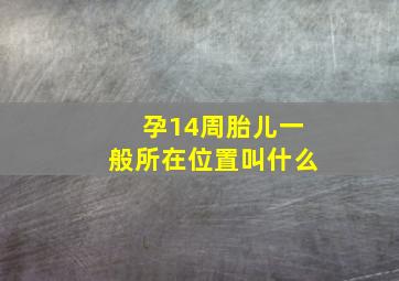 孕14周胎儿一般所在位置叫什么