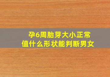 孕6周胎芽大小正常值什么形状能判断男女