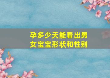 孕多少天能看出男女宝宝形状和性别