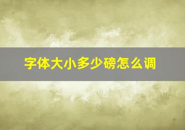 字体大小多少磅怎么调